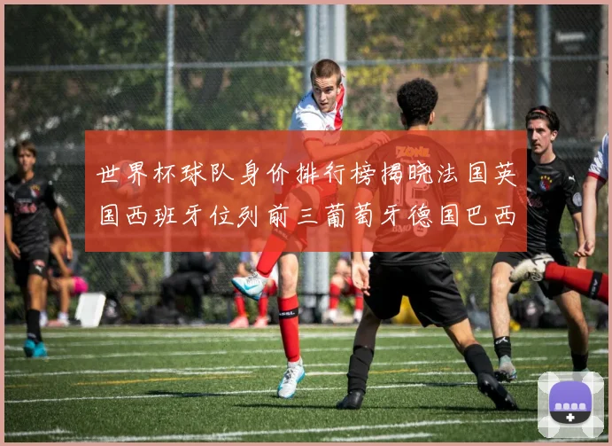 世界杯球队身价排行榜揭晓法国英国西班牙位列前三葡萄牙德国巴西身价均超九亿欧元